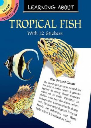 Learning About Tropical Fish by Jan Sovak