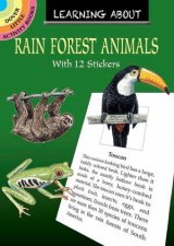 Learning About Rainforest Animals