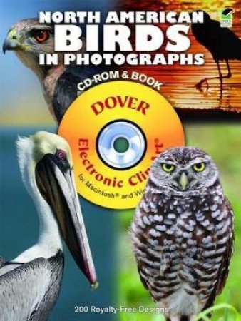 North American Birds in Photographs CD-ROM and Book by STEVE BYLAND