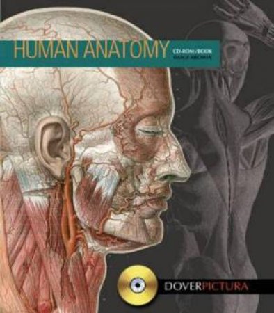 Human Anatomy by ALAN WELLER