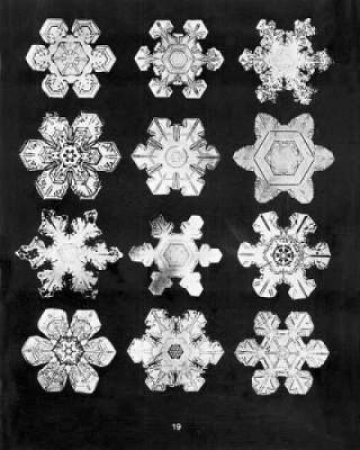 Bentley's Snowflakes CD-ROM and Book by W. A. BENTLEY