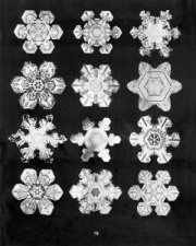 Bentleys Snowflakes CDROM and Book