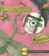 Insects