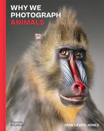 Why We Photograph Animals by Huw Lewis-Jones