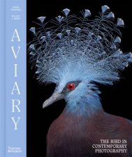 Aviary