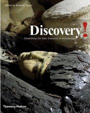 Discovery Unearthing New Treasures