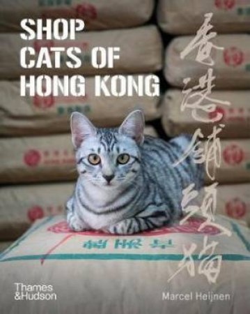 Shop Cats Of Hong Kong by Marcel Heijnen & Catharine Nicol & Ian Row