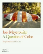Joel Meyerowitz A Question of Color