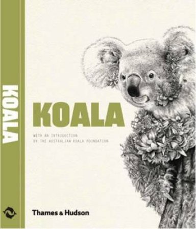 Koala by No Author Provided