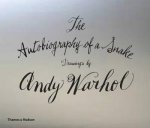 The Autobiography of a Snake Drawings by Andy Warhol