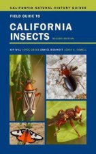 Field Guide To California Insects