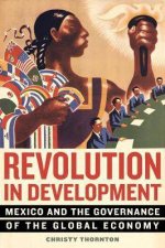 Revolution In Development