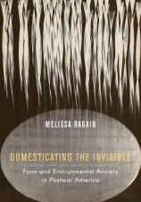 Domesticating The Invisible