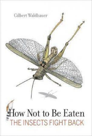 How Not To Be Eaten by Gilbert Waldbauer & James Nardi