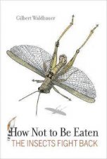 How Not To Be Eaten