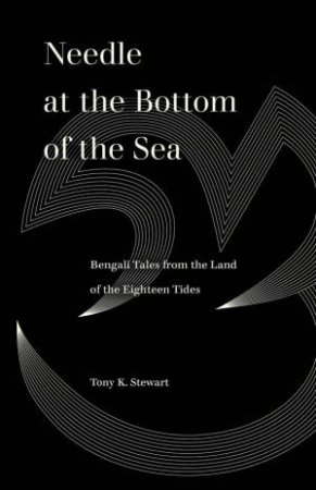Needle at the Bottom of the Sea by Tony K. Stewart & Ayesha A. Irani
