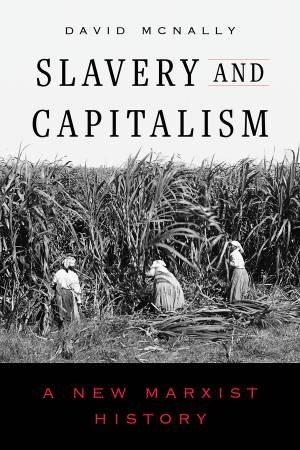 Slavery and Capitalism by David McNally