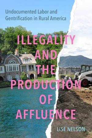 Illegality and the Production of Affluence by Lise Nelson