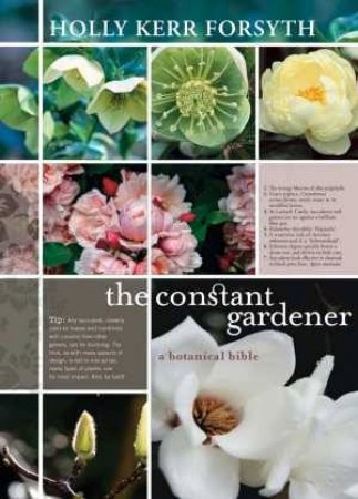 The Constant Gardener by Holly Kerr Forsyth