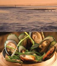 Oceans Recipes and Stories from Australias Coastline