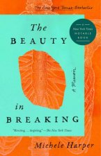 The Beauty In Breaking