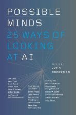 Possible Minds