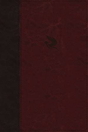 NKJV Spirit-Filled Life Bible Indexed Red Letter Edition [Burgundy] by Thomas Nelson