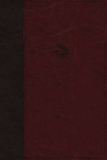 NKJV SpiritFilled Life Bible Indexed Red Letter Edition Burgundy