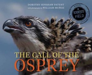 Call of the Osprey by DOROTHY HINSHAW PATENT