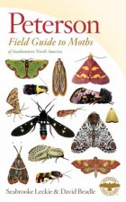 Peterson Field Guide To Moths Of Southeastern North America