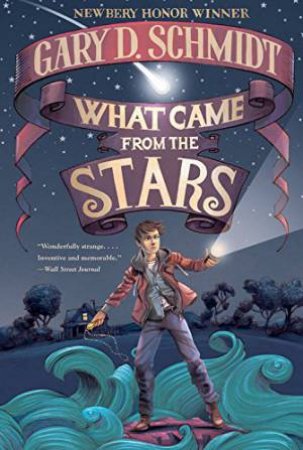 What Came from the Stars by SCHMIDT GARY D.