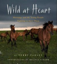 Wild at Heart Mustangs and the Young People Fighting to Save Them