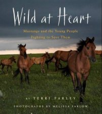 Wild at Heart Mustangs and the Young People Fighting to Save Them