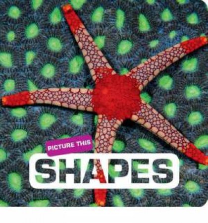 Shapes: Picture This by UNKNOWN