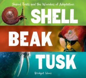 Shell, Beak, Tusk: Shared Traits And The Wonders Of Adaptation by Bridget Heos