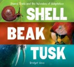 Shell Beak Tusk Shared Traits And The Wonders Of Adaptation