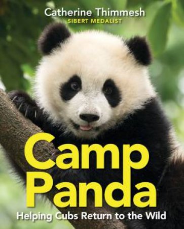 Camp Panda: Helping Cubs Return To The Wild