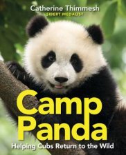 Camp Panda Helping Cubs Return To The Wild