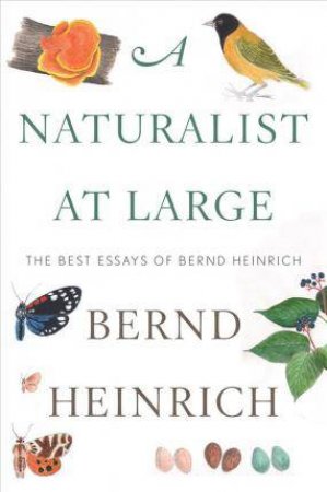 A Naturalist At Large: The Best Essays Of Bernd Heinrich by Bernd Heinrich
