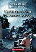 The Secret of the Junkyard Shadow