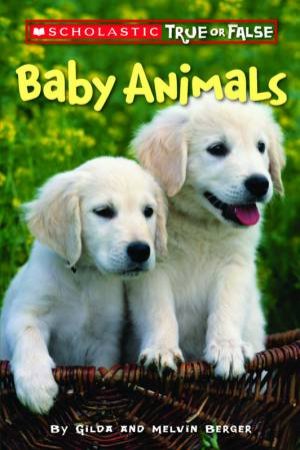 Scholastic True Or False: Baby Animals by Gilda Berger