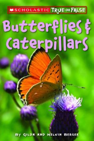 Scholastic True Or False: Butterflies And Caterpillars by Gilda Berger