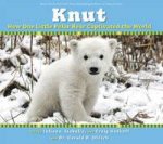 Knut How One Little Polar Bear Captivated The World