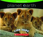 Planet Earth Lion Cubs