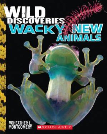 Wild Discoveries: Weird and Wacky Animals by Heather Montgomery