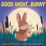 Good Night Bunny