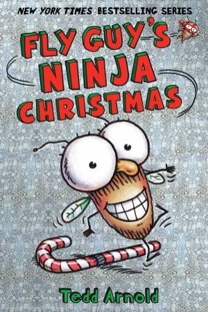 Fly Guy's Ninja Christmas by Tedd Arnold