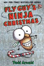 Fly Guys Ninja Christmas