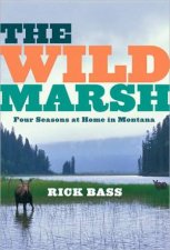 Wild Marsh