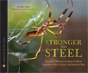 Stronger than Steel by HEOS BRIDGET